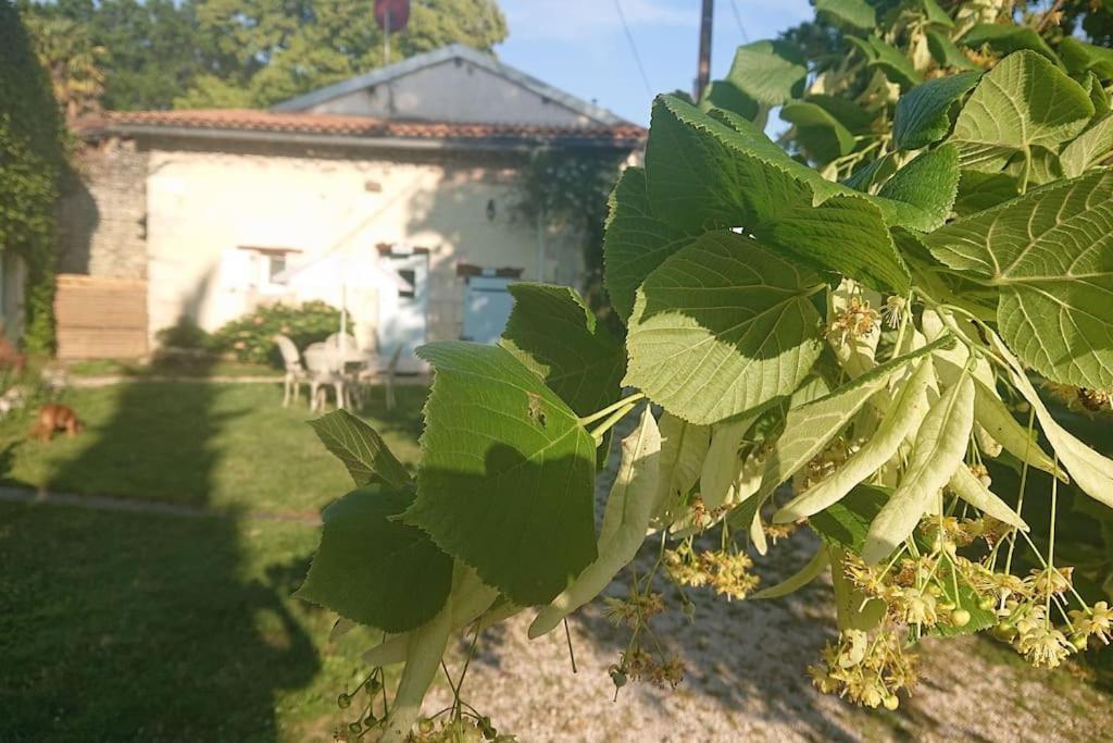 Entire Apartment With Swimming Pool Near Aubeterre Saint-Romain  Exteriör bild