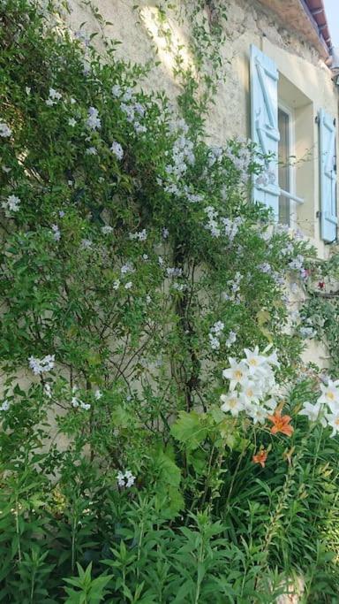 Entire Apartment With Swimming Pool Near Aubeterre Saint-Romain  Exteriör bild