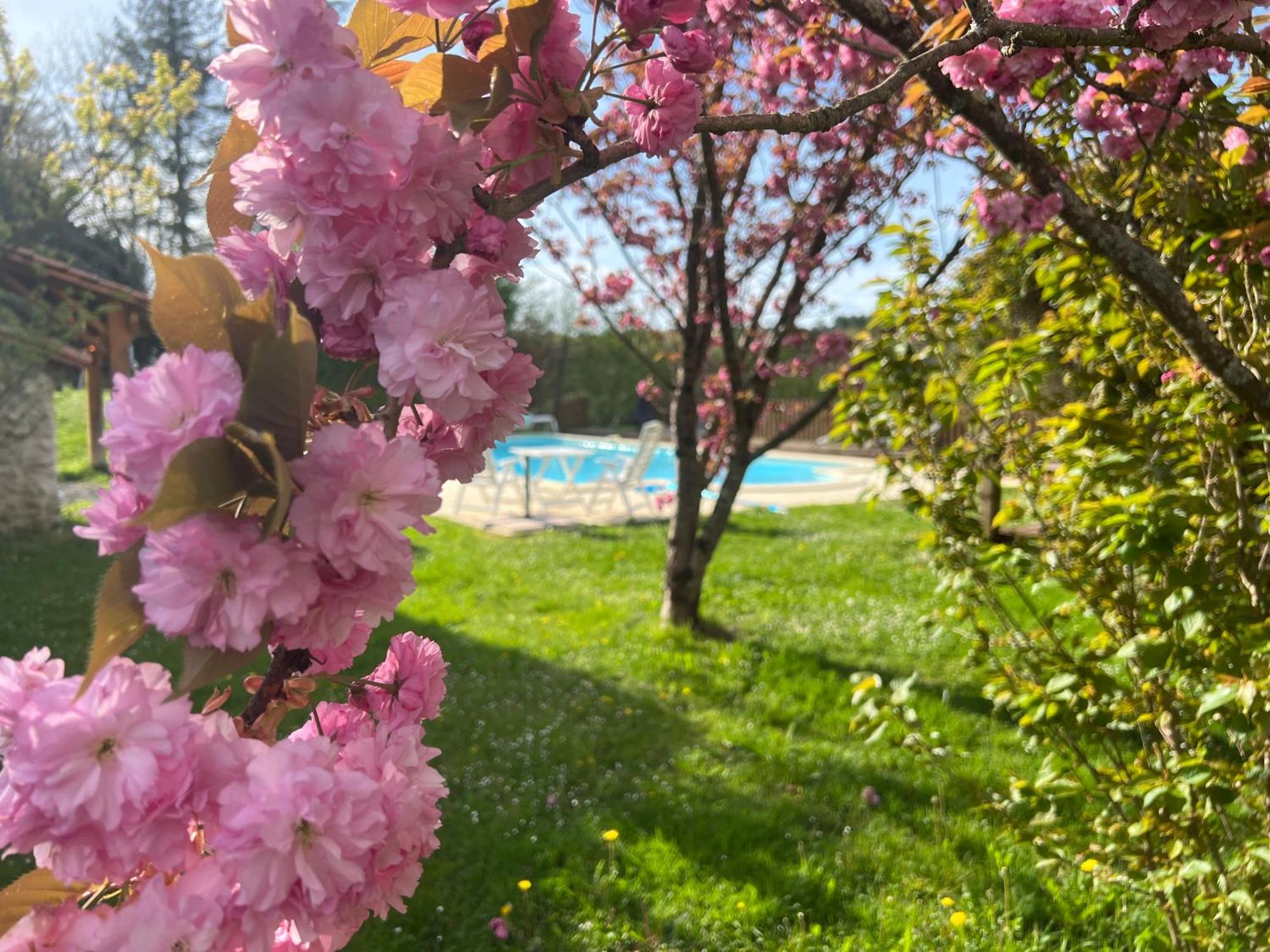Entire Apartment With Swimming Pool Near Aubeterre Saint-Romain  Exteriör bild